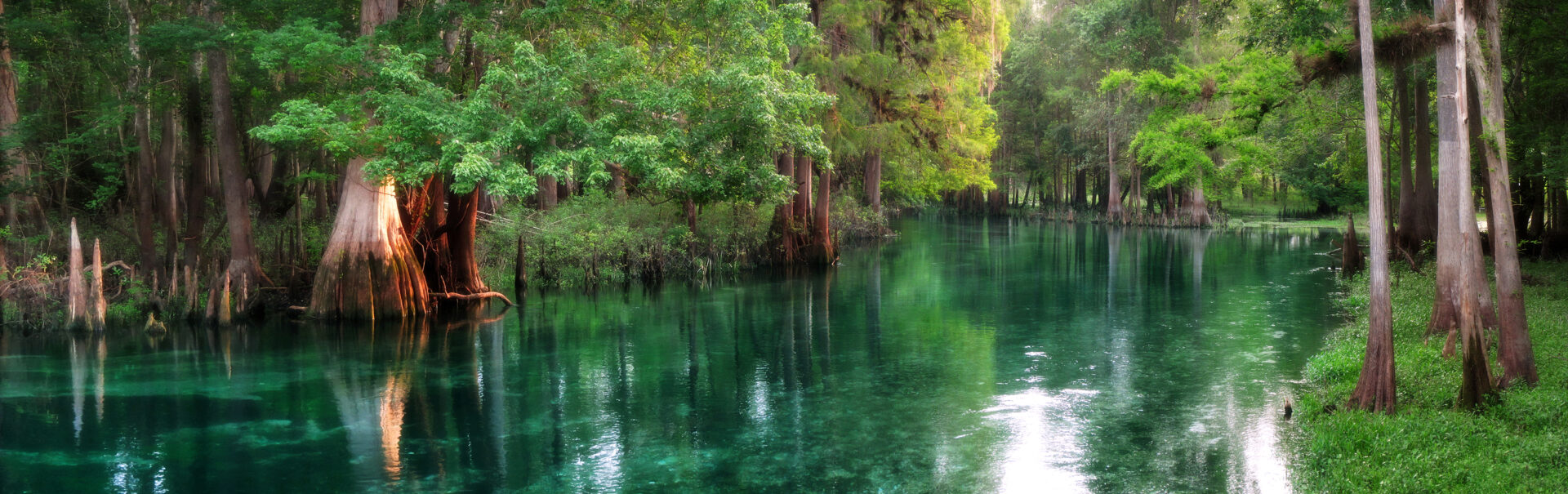 Ichetucknee-Springs-Sunrise-3000-9113